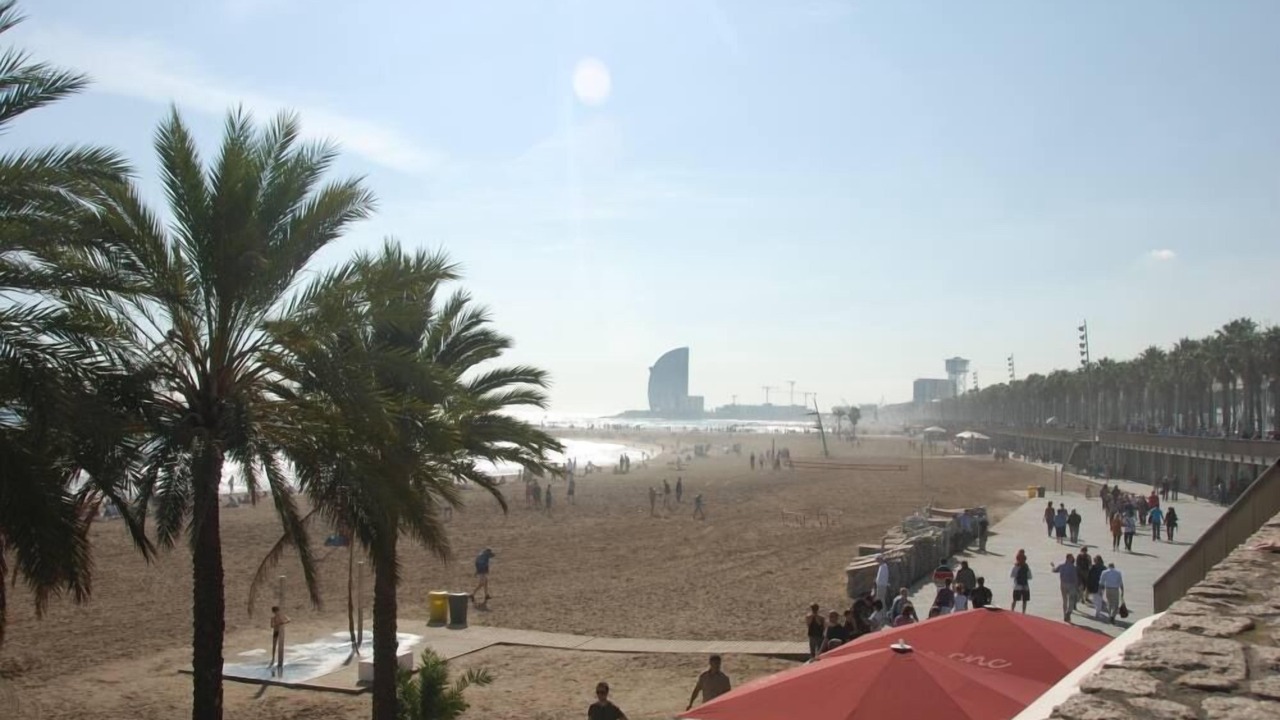 Photo of Others in El Parc i la Llacuna del Poblenou
