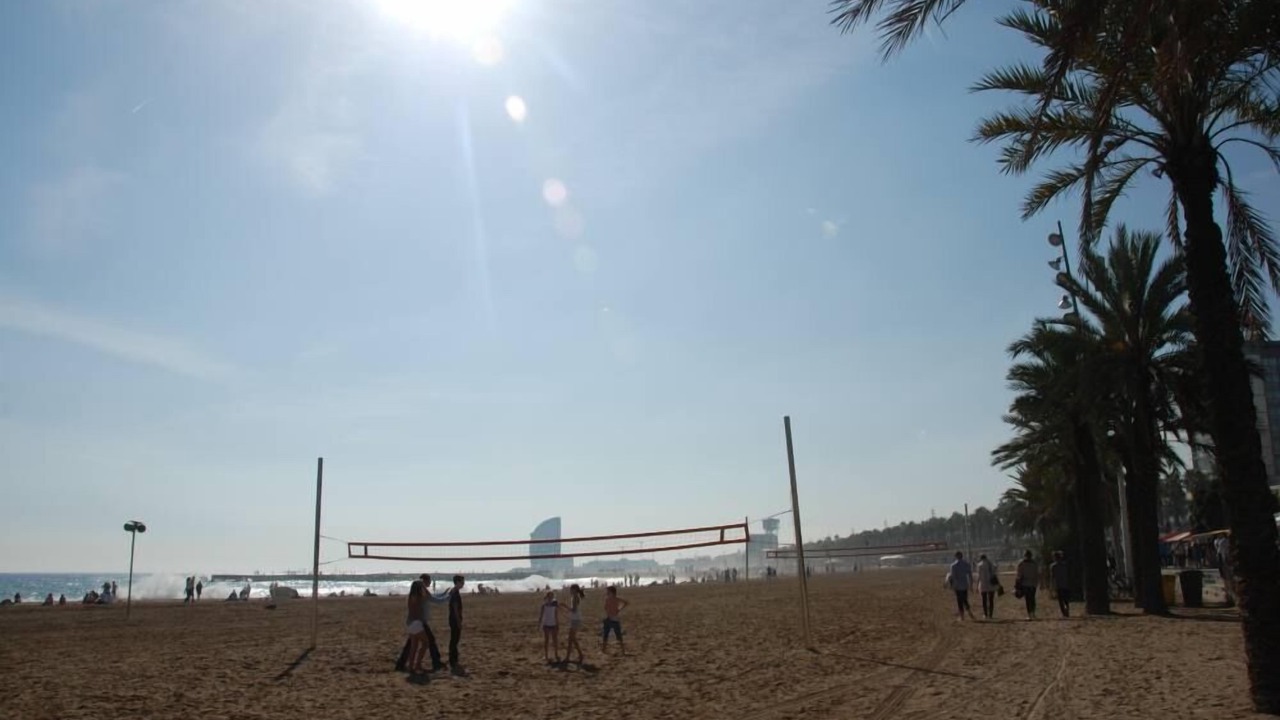 Photo of Others in El Parc i la Llacuna del Poblenou