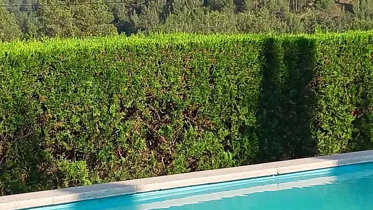 Photo of Outdoor in Sant Salvador de Guardiola