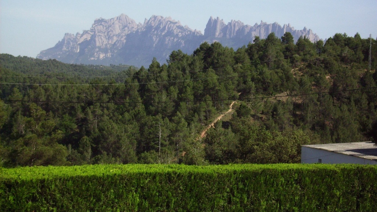 Photo of Others in Sant Salvador de Guardiola