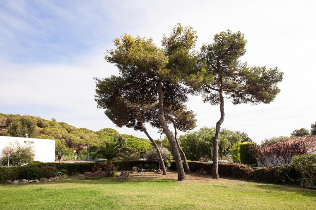 Photo of Others in Sant Pol De Mar
