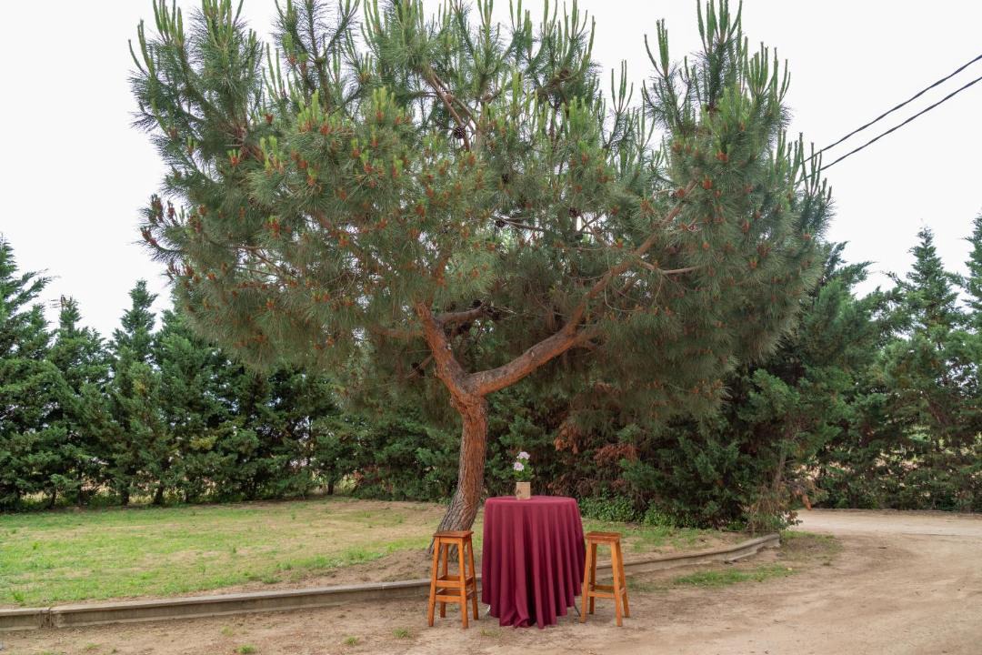 Photo of Outdoor in Cabrera de Mar