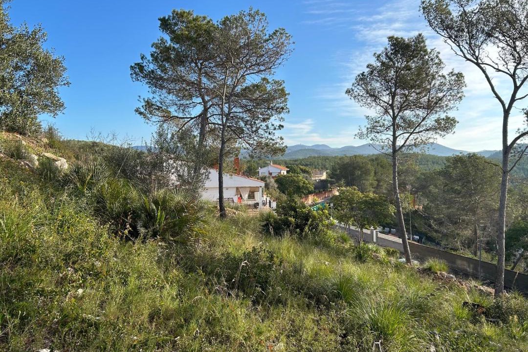 Photo of Others in Sant Pere de Ribes