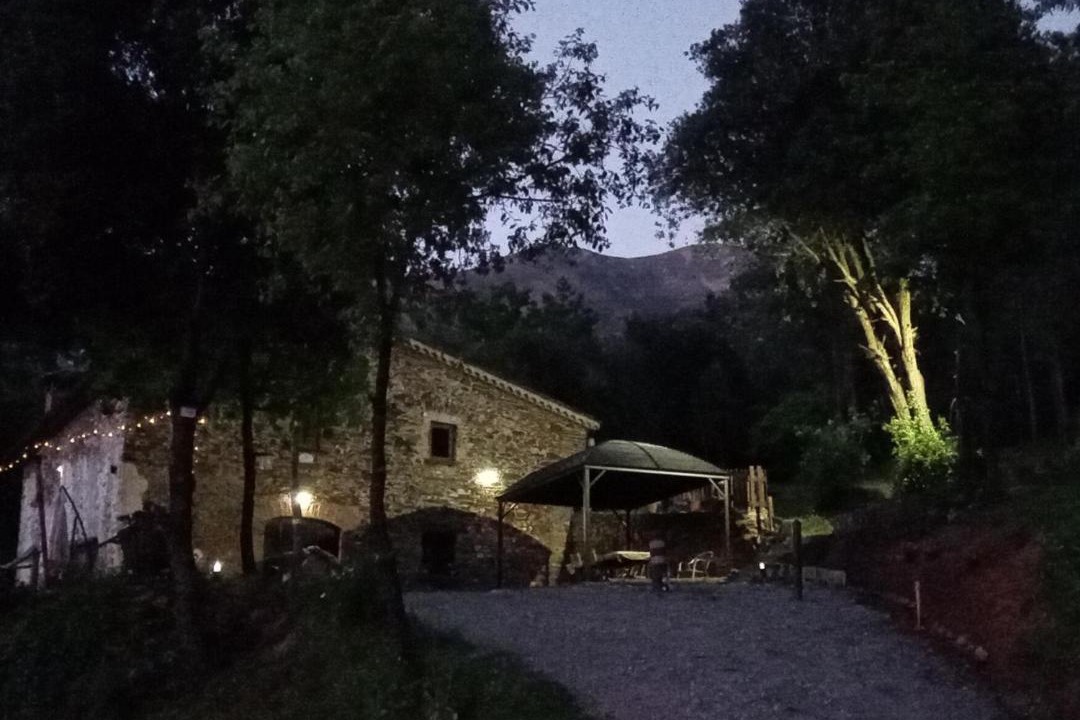 Photo of Others in Montseny