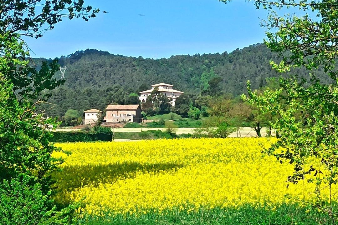 Photo of Others in Santa Eulalia de Riuprimer