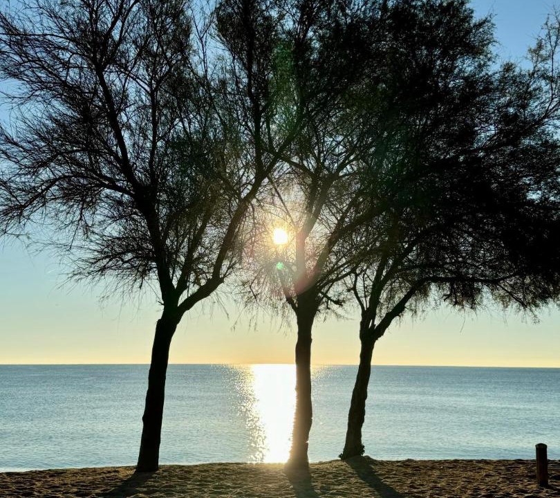 Photo of Others in Badalona