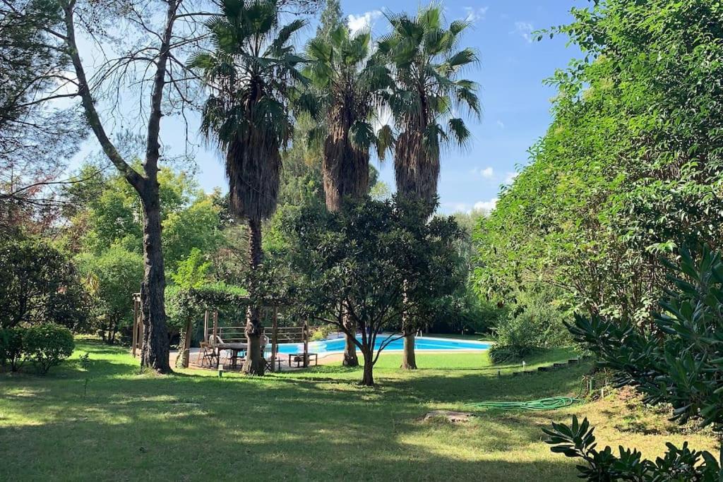 Photo of Others in Sant Cugat del Valles