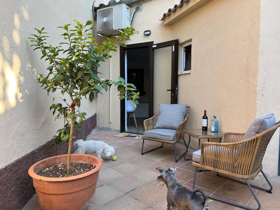 Photo of Patio Balcony in Sant Cugat del Valles