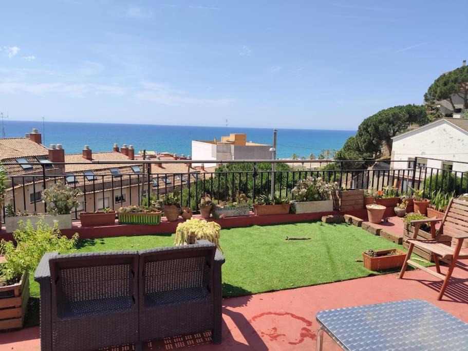 Photo of Others in Canet de Mar