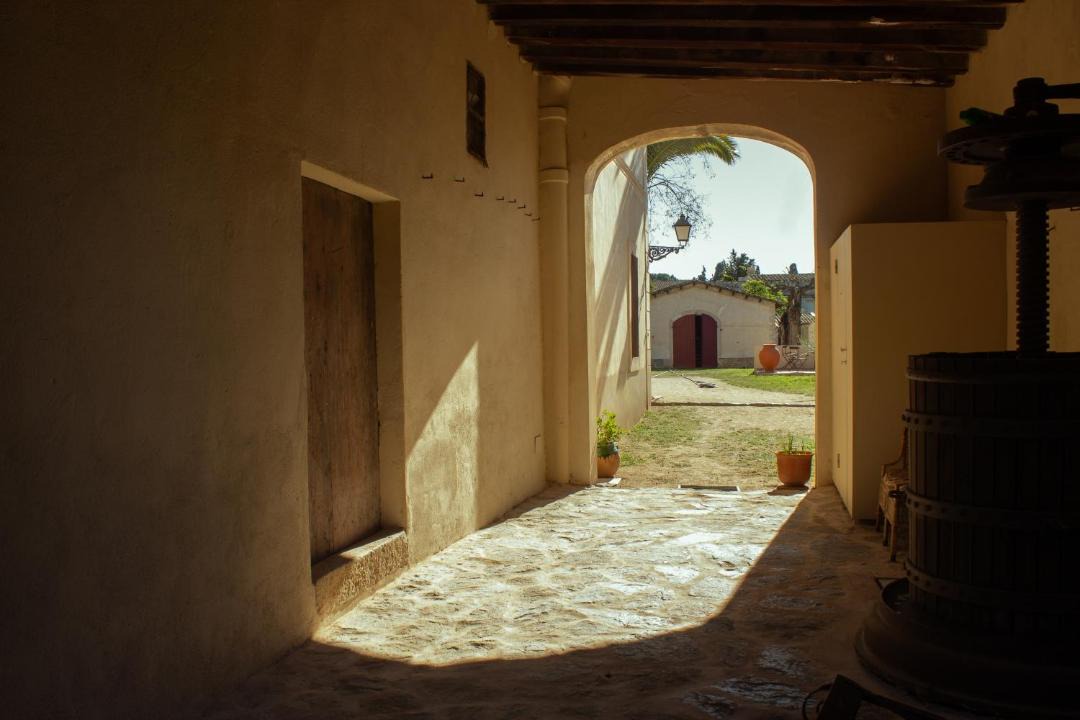 Photo of Others in Alella