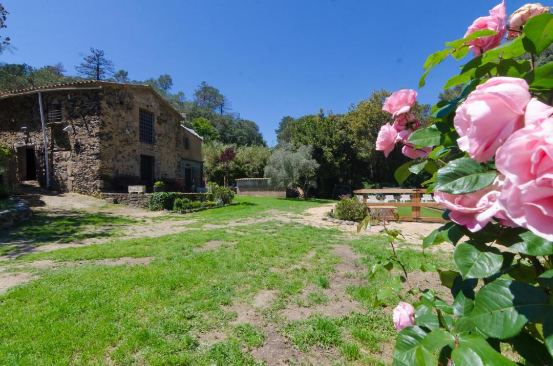 Photo of Others in Santa Susanna