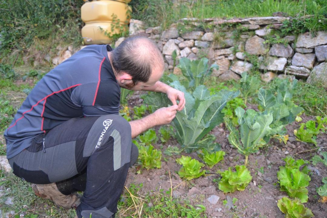Photo of Others in Castellar de N'hug