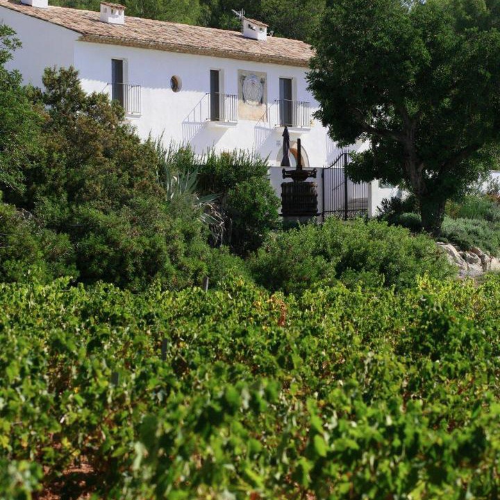 Photo of Others in Sant Pere de Ribes