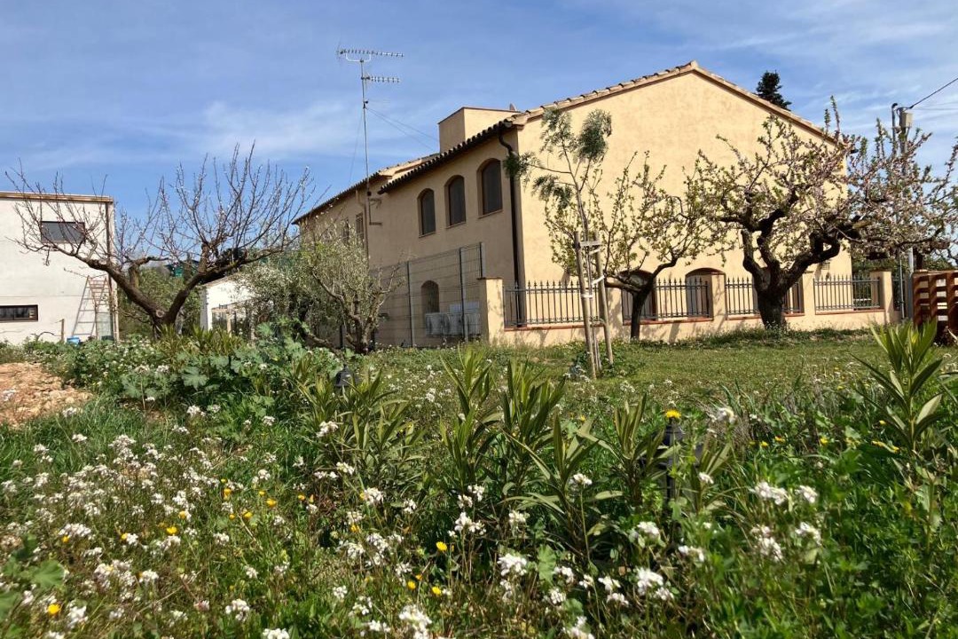 Photo of Others in San Martin Sarroca