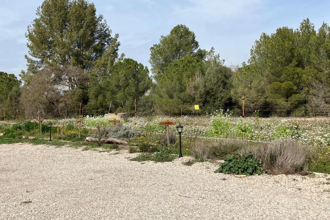 Photo of Others in San Martin Sarroca