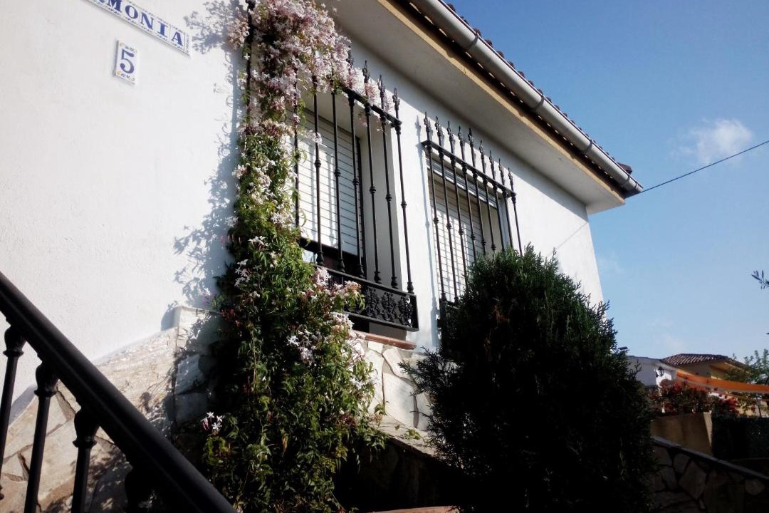 Photo of Others in El Mas Mora