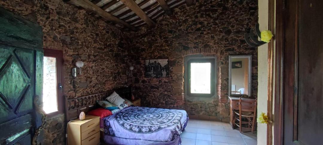 Photo of Others in Montnegre