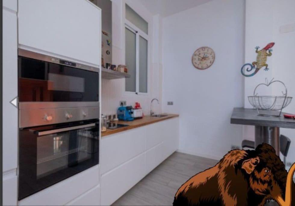 Photo of Kitchen in Viladecans