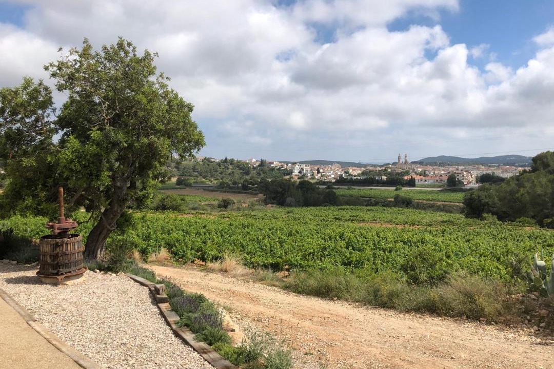 Photo of Others in Sant Pere de Ribes
