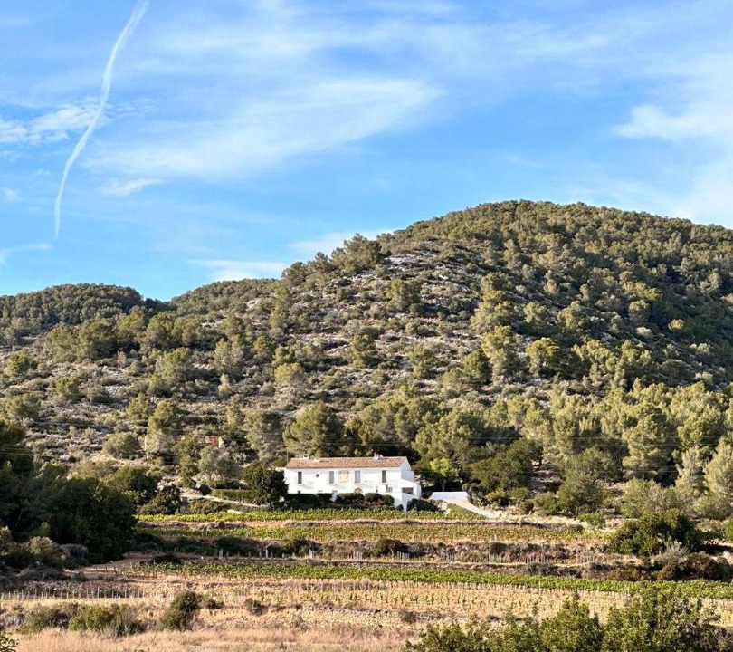 Photo of Others in Sant Pere de Ribes