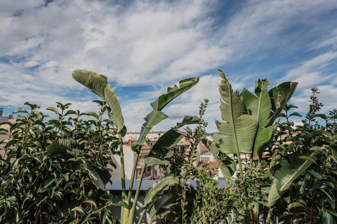 Photo of Outdoor in Terrassa