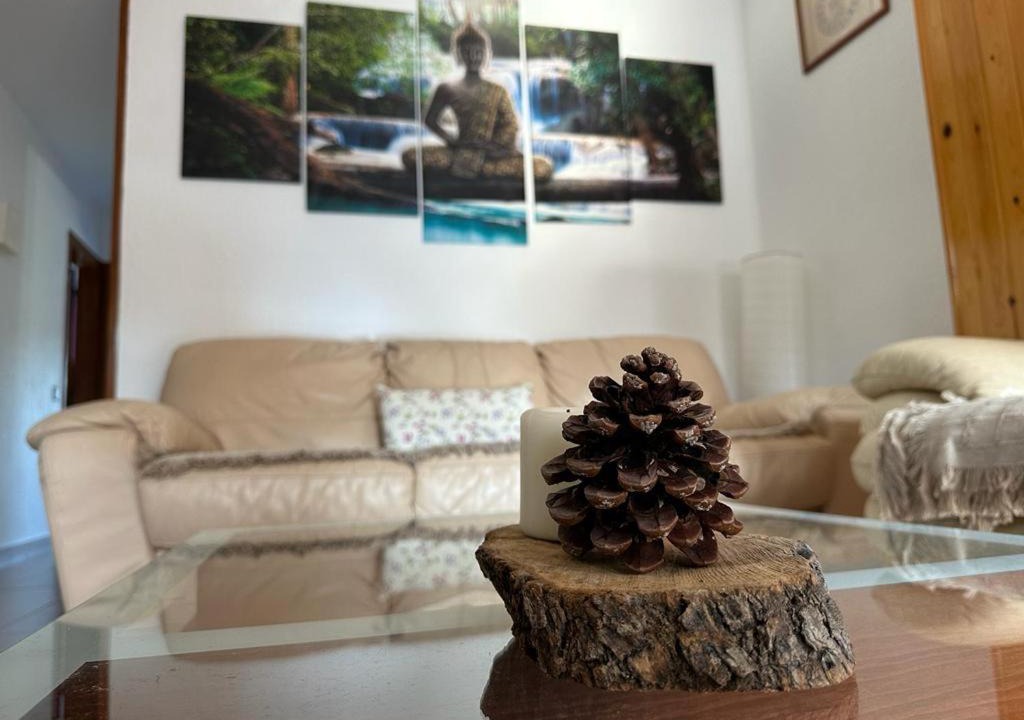 Photo of Livingroom in Urbanizacion Tordera Parc