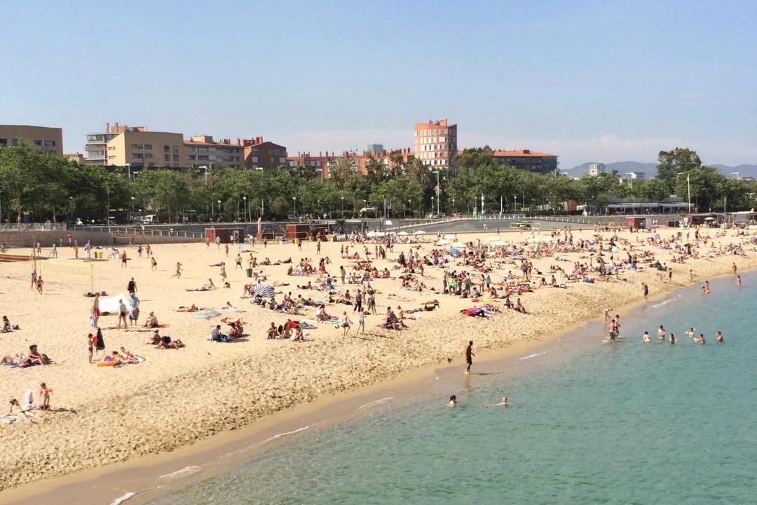 Photo of Others in La Vila Olimpica del Poblenou