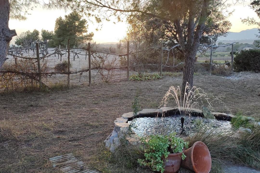 Photo of Others in Castellet i la Gornal