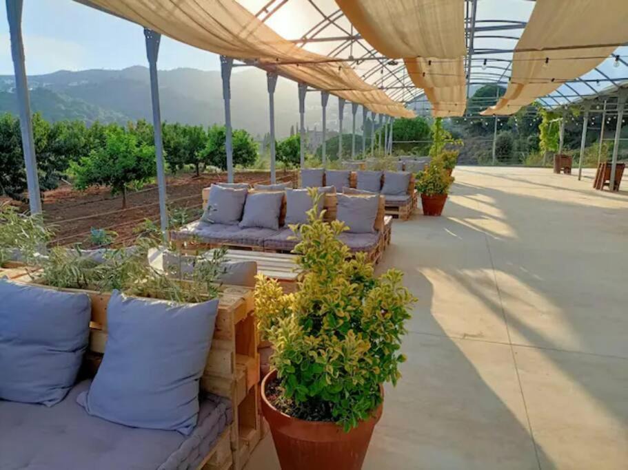 Photo of Patio Balcony in Alella