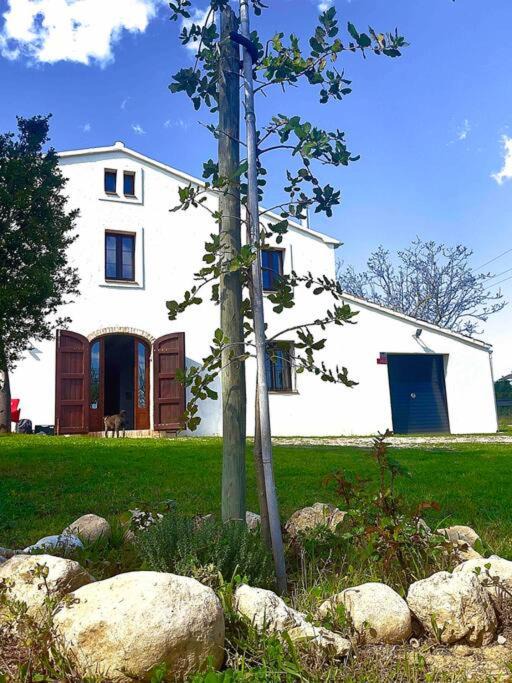 Photo of Buildings in Font-Rubi
