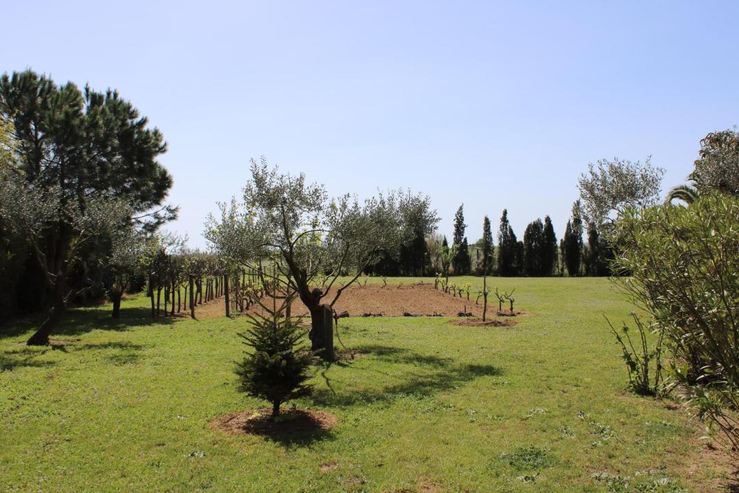 Photo of Outdoor in Queixas