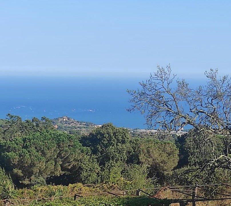 Photo of Others in Mataro