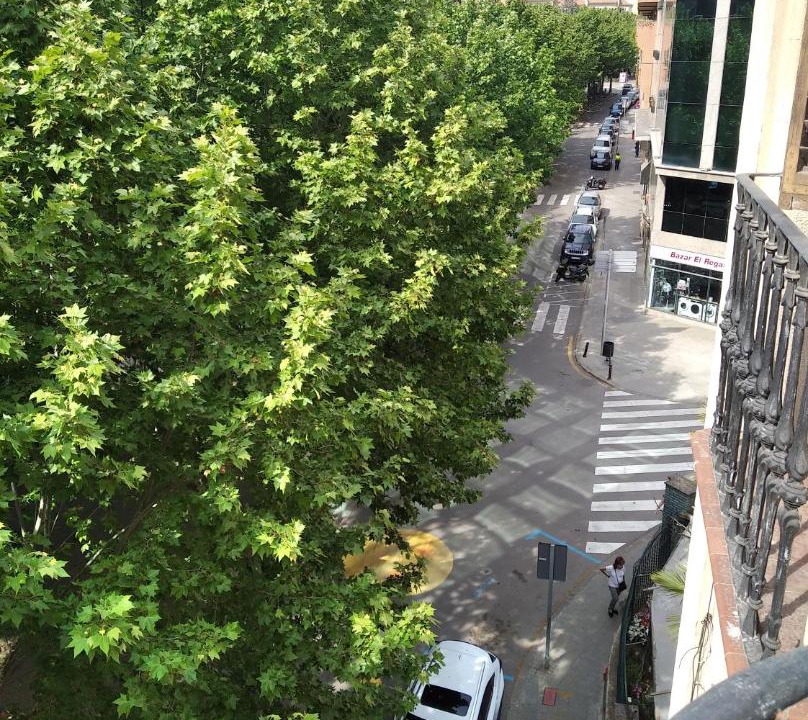 Photo of Others in Passeig i Rodalia