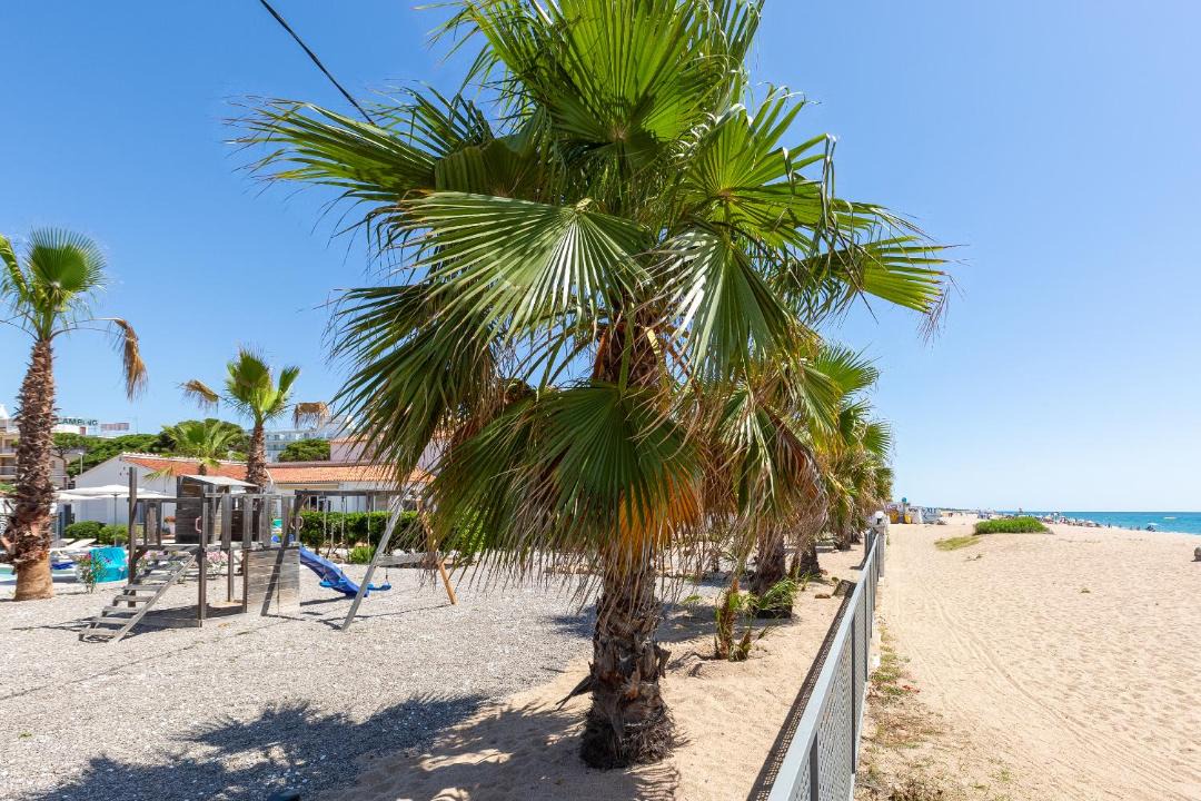 Photo of Others in Malgrat de Mar