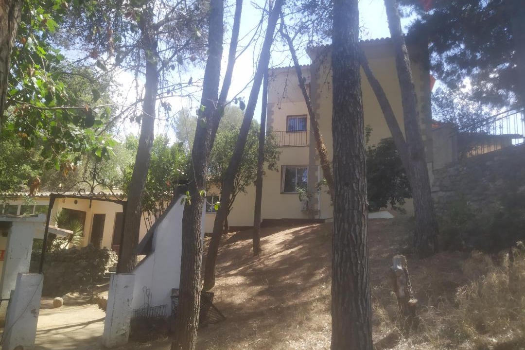 Photo of Others in Piera