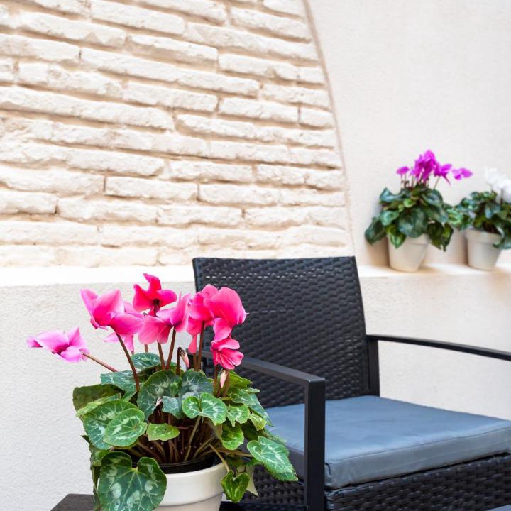 Photo of Patio Balcony in Collblanc y La Torrassa