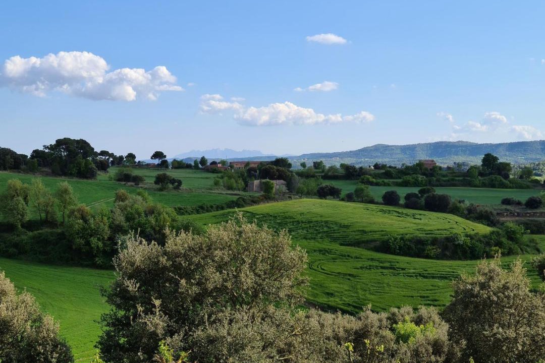 Photo of Others in Casserres