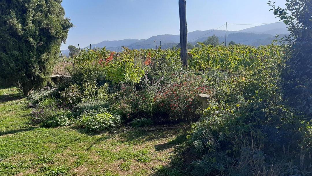 Photo of Outdoor in Santa Maria d'Olo