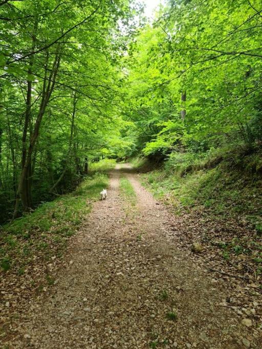 Photo of Outdoor in La Pobla de Lillet