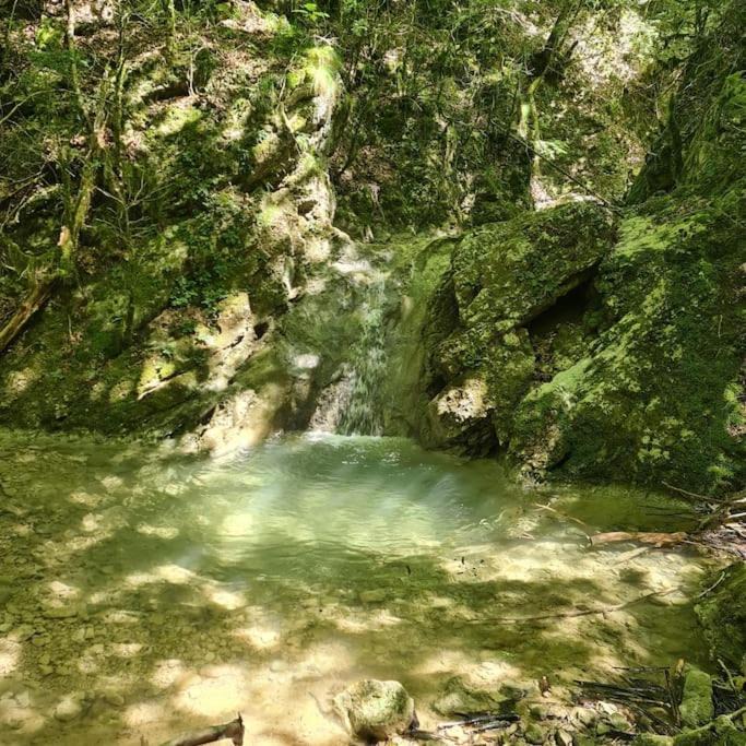 Photo of Outdoor in La Pobla de Lillet