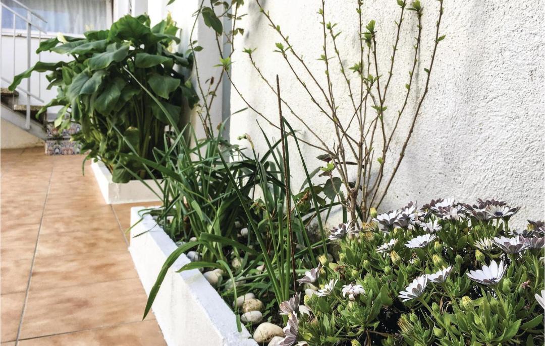 Photo of Patio Balcony in Pineda de Mar