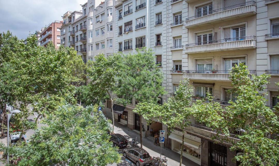 Photo of Others in Sant Gervasi