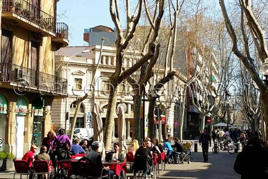 Photo of Others in Poblenou