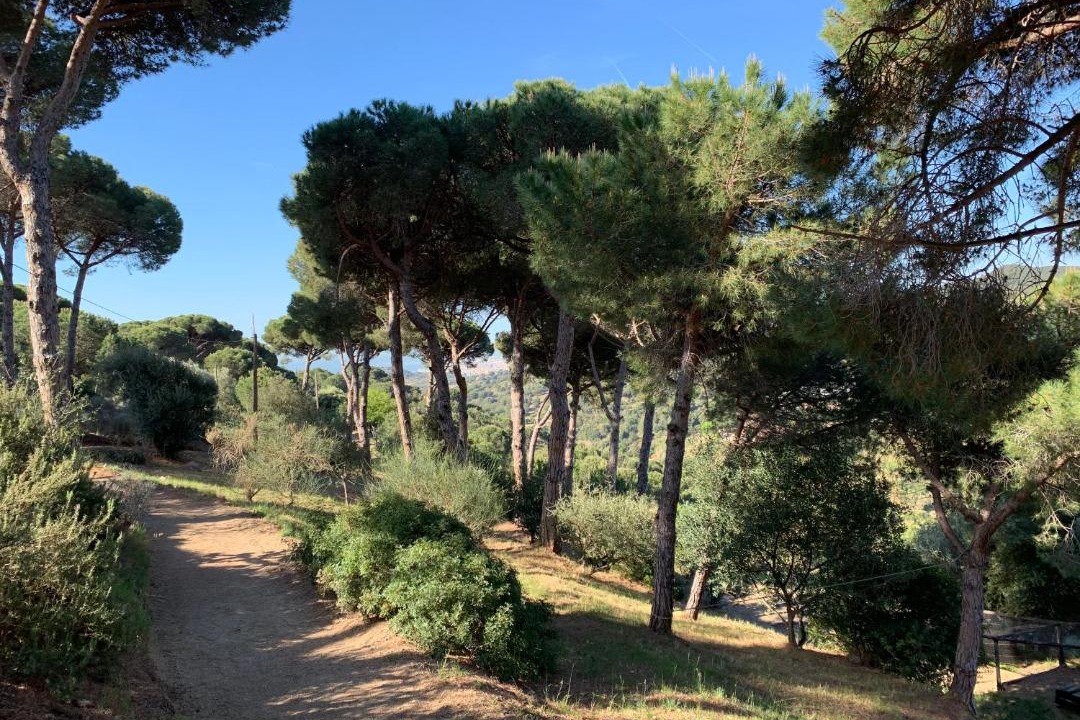 Photo of Outdoor in Tiana