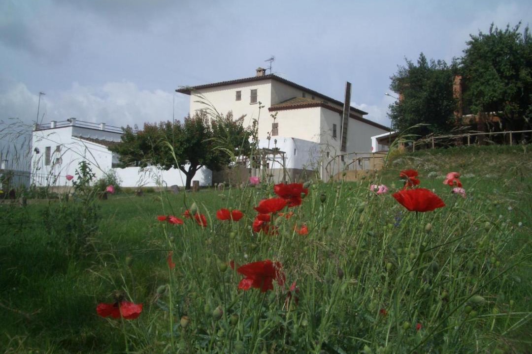 Photo of Others in Les Franqueses del Valles
