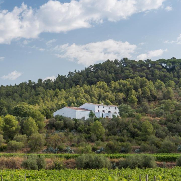Photo of Outdoor in Canaletes