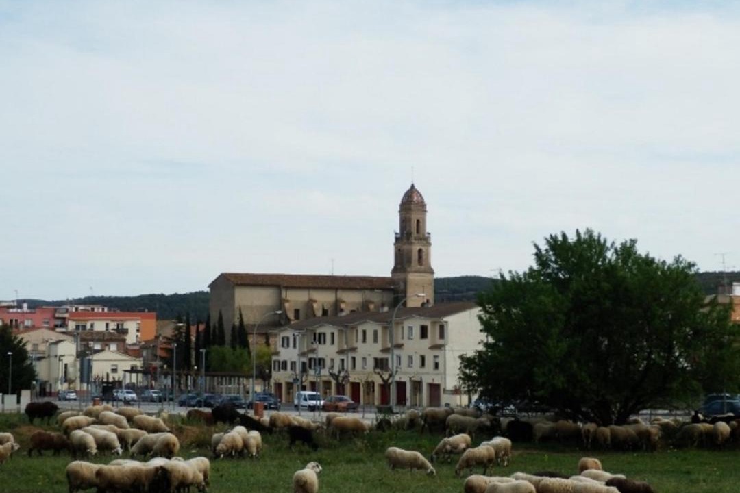 Photo of Others in Torrelles de Foix