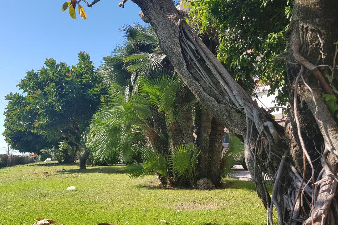 Photo of Outdoor in Vilassar de Mar