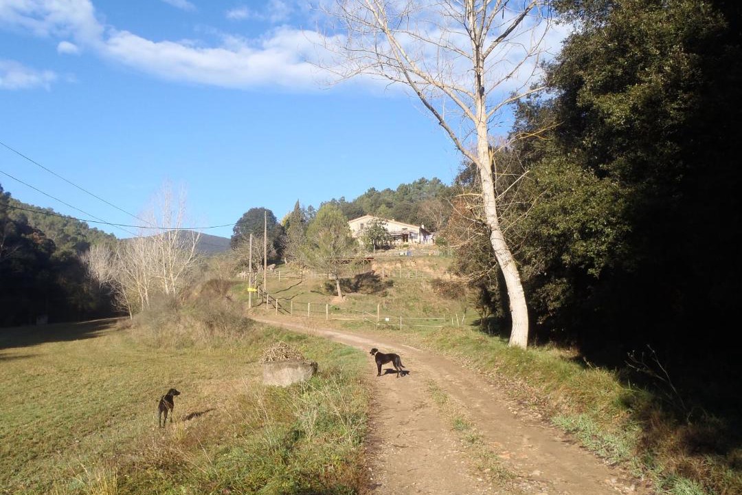 Photo of Others in Sant Pere de Vilamajor