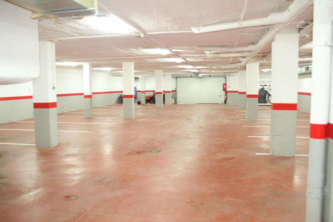 Photo of Others in Arro
